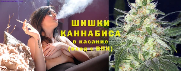 хмурый Михайловск