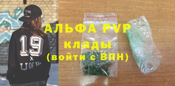 индика Михайлов
