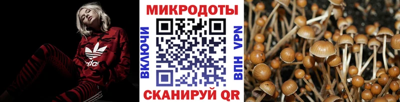 Псилоцибиновые грибы мухоморы  где купить наркоту  Нижний Новгород 