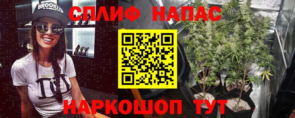 Каннабис тримм  Вход с VPN  Нижний Новгород  Конопля конопля  Каннабис White Widow  Бошки Шишки сатива 